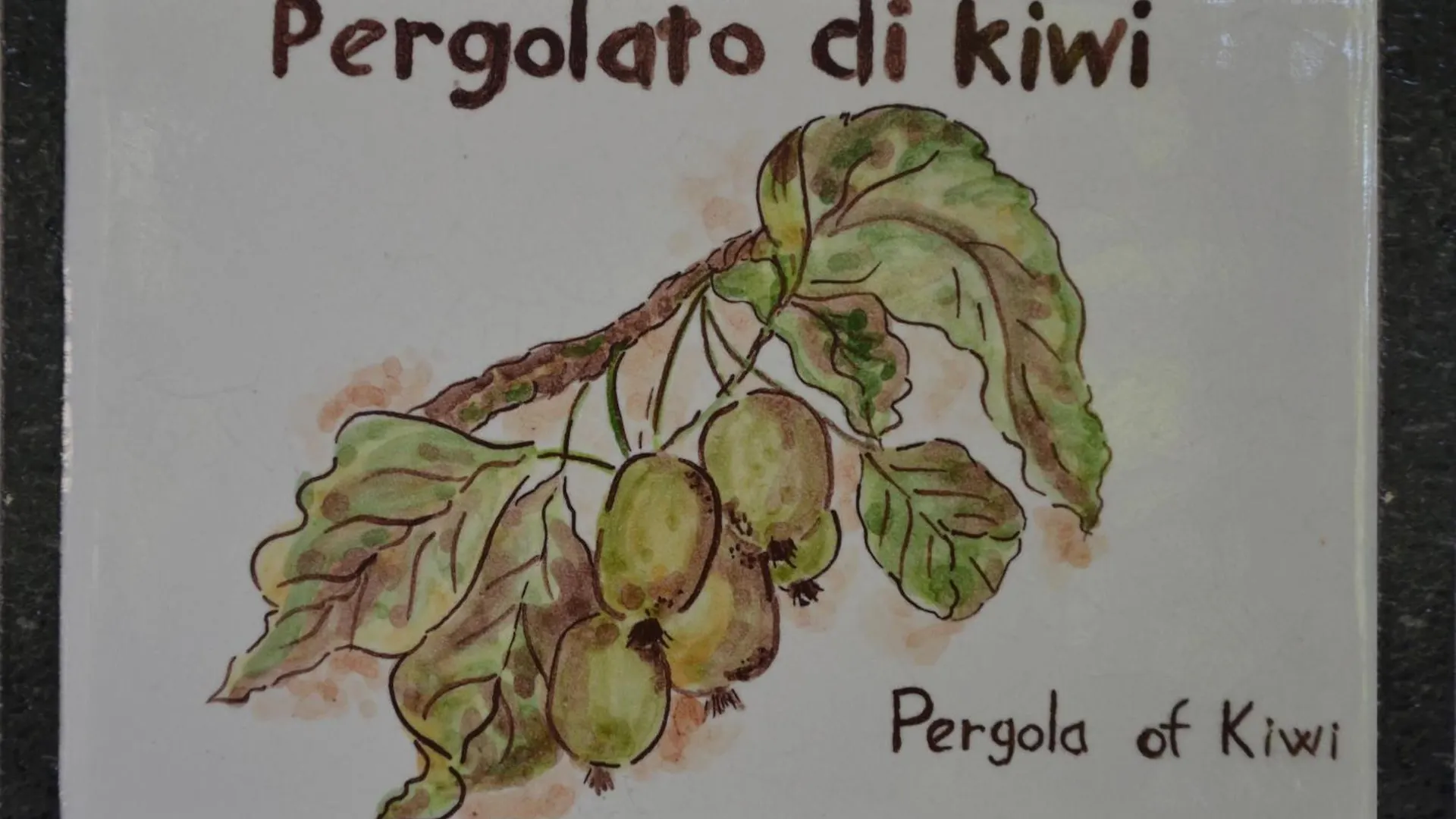 Lantställe Agriturismo Etna-Mare Piedimonte Etneo
