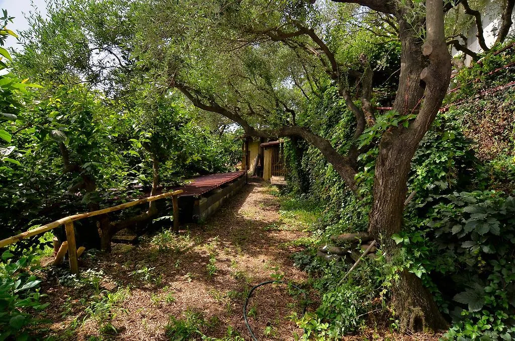 Agriturismo Etna-Mare Piedimonte Etneo Lantställe